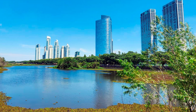 Vista panorámica de la Reserva