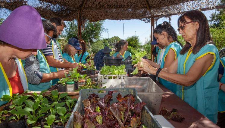 Voluntarios en la huerta hidropónica