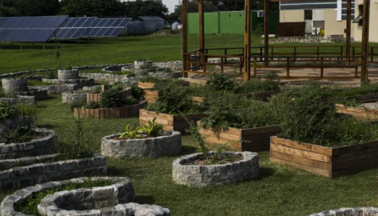 Huerta y paneles solares