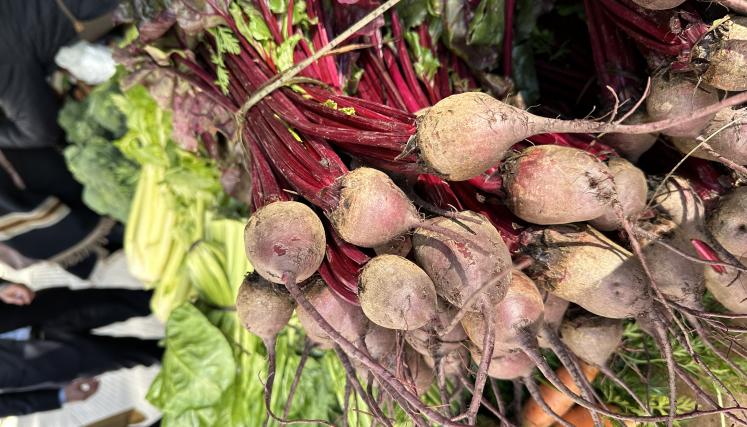 Sabe la tierra_Tribunales