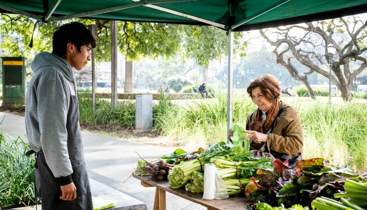 Sabe la tierra_Tribunales