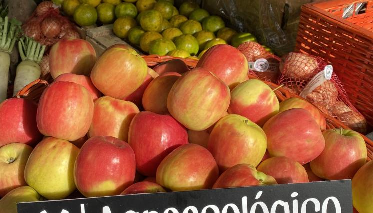 Sabe la tierra_Parque Rivadavia