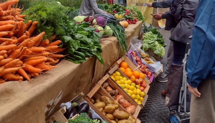 Sabe la tierra_Tribunales