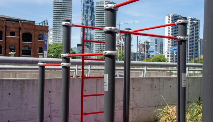 Calistenia en Paseo del Bajo