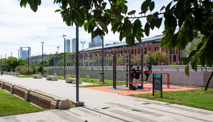 Calistenia en Paseo del Bajo