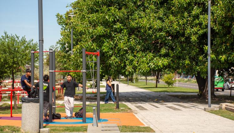 Calistenia en Paseo del Bajo
