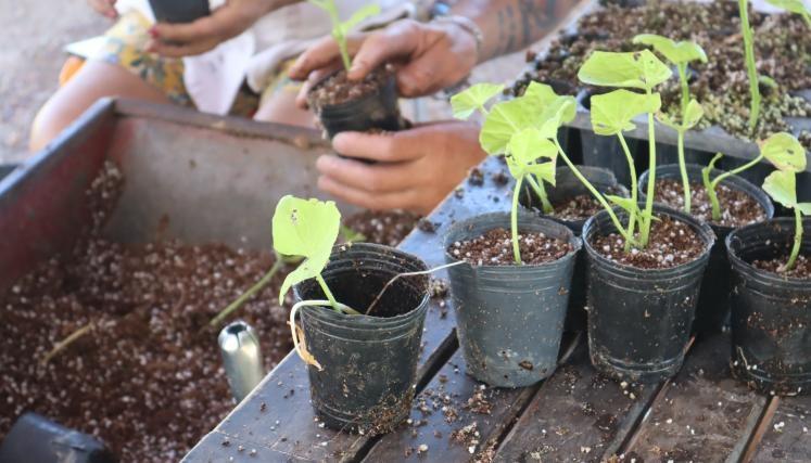 Este sábado 7 de junio celebramos el Día Mundial del Ambiente en Ecoparque con actividades gratuitas.
