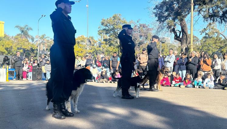 Invierno en la Ciudad_Seguridad