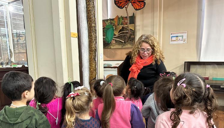 vacaciones en el museo 1