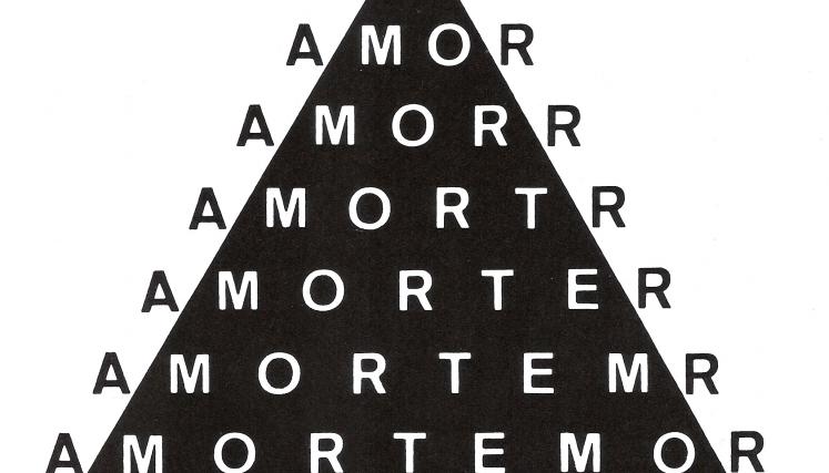 AMORTEMOR, Augusto de Campos