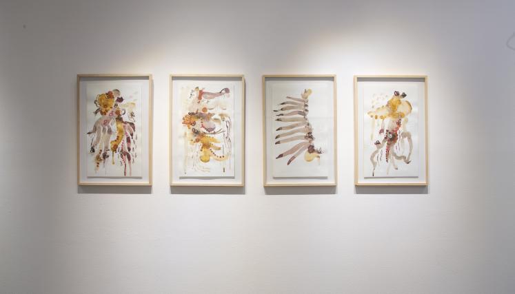 Andrés Paredes. Museo Sívori