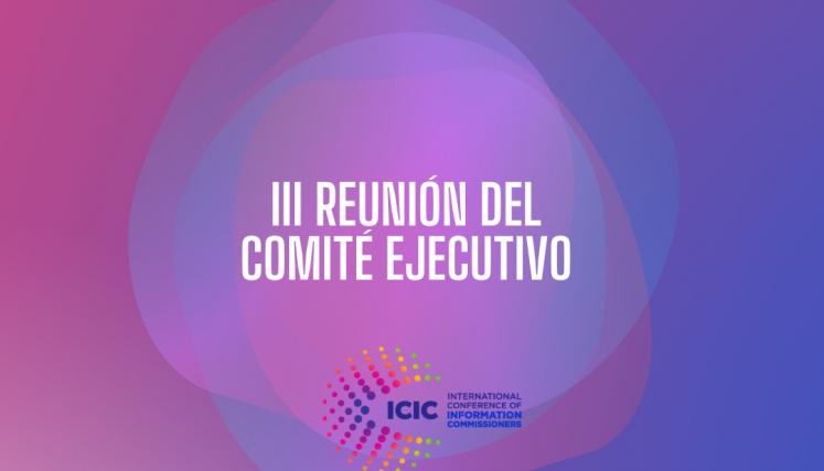 3ra reunión del comité ejecutivo de ICIC