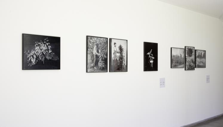 A_02_Bs As de Plata_1I4B0009.jpg