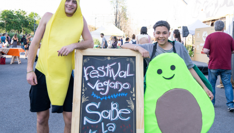 vegan fest 6