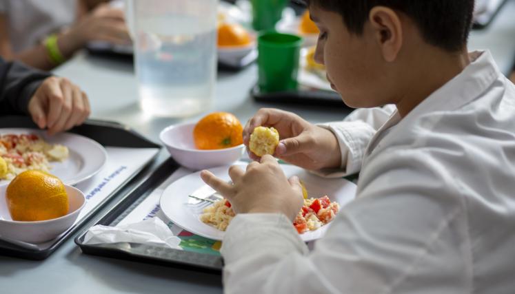 menu sustentable (2)