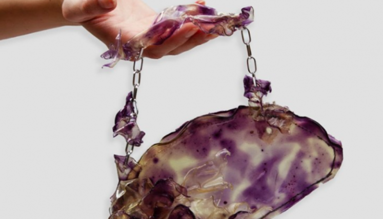 Obra de arte: cartera sostenida por mano