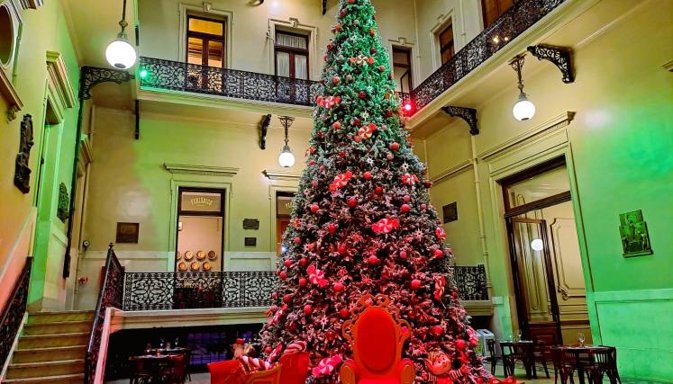 Árbol navideño enorme en el patio central de la Casa de la Cultura