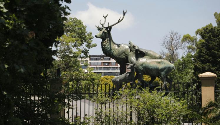 FAMILIA DE CIERVOS.JPG