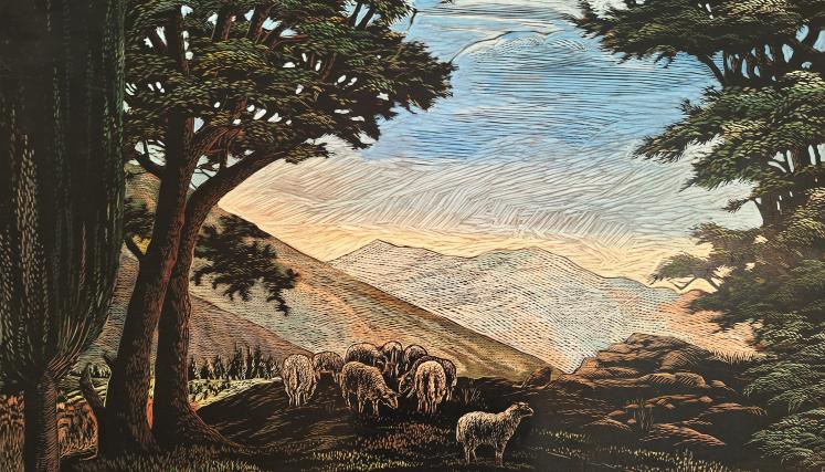 Homenaje a Rosario - Portada