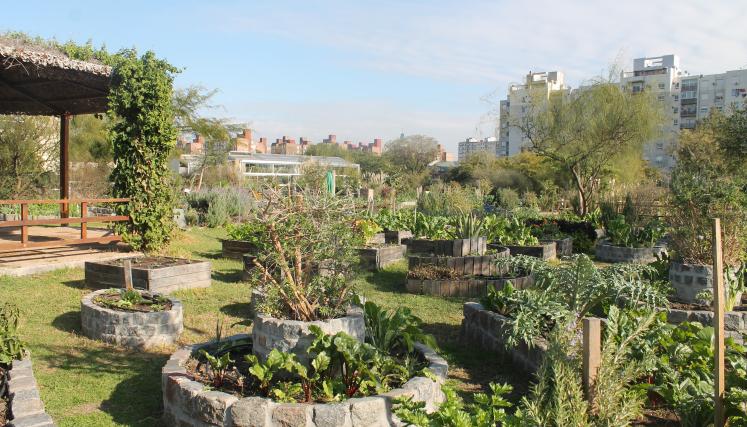 Huerta del Paseo Ambiental del Sur