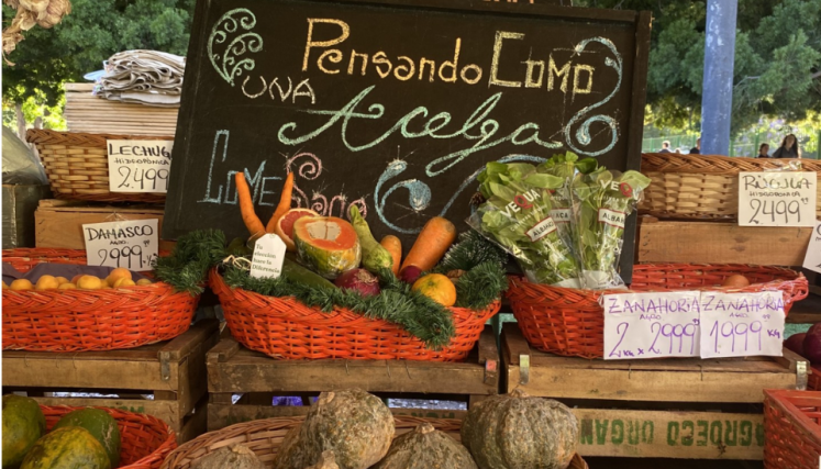 Verduras en cajones de madera