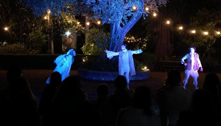 unenfermoimaginarioweb