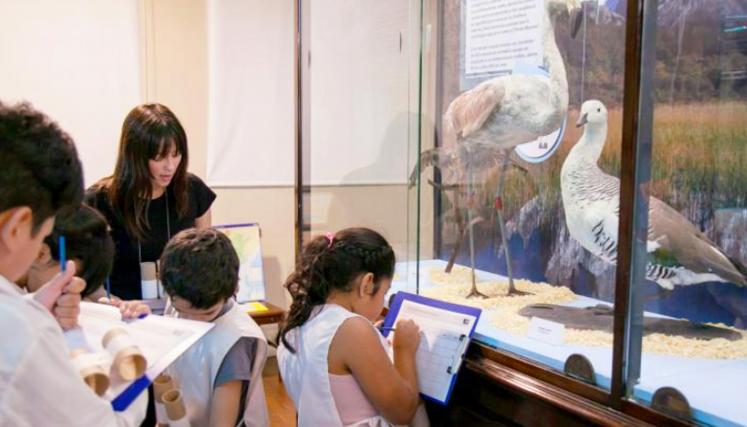 museo propuesta educativa 5