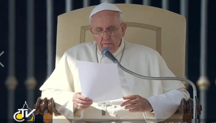 El Papa Francisco, en su audiencia general de este miércoles. Foto: Captura de TV de News.va Español