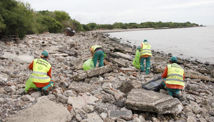 Trabajos de limpieza en los márgenes del Río de la Plata