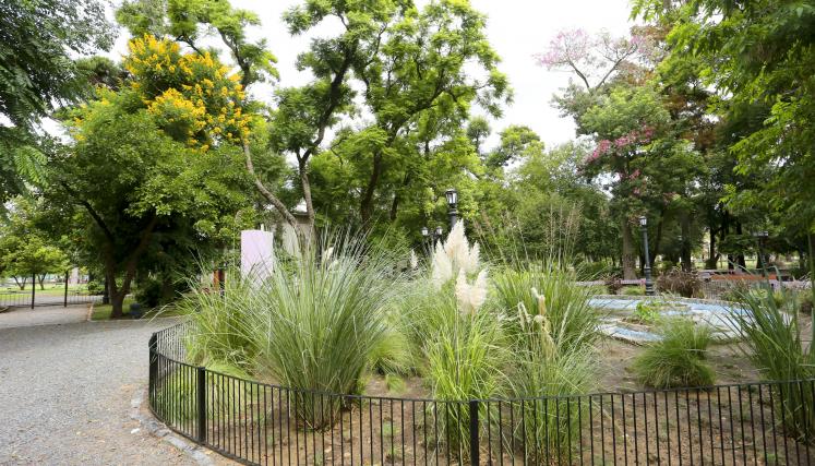 Expedición vegetal en Parque Avellaneda