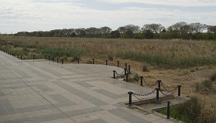 Reserva Ecológica Costanera Sur. Foto: Archivo Web GCBA