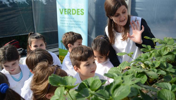 Huertas orgánicas en las escuelas de la Ciudad. Foto: Escuelas Verdes/GCBA