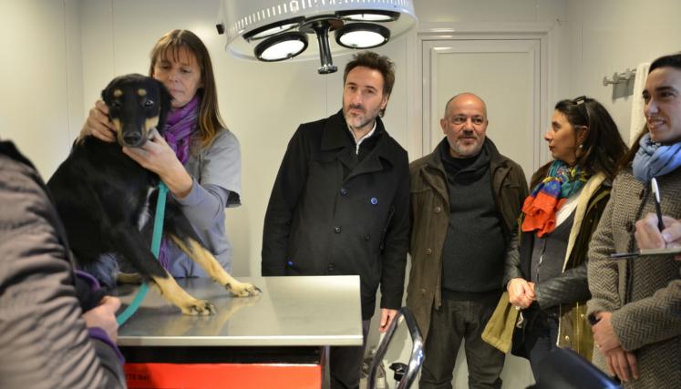 Nuevo portal fijo de atención veterinaria. Foto: Mascotas de la Ciudad/GCBA.