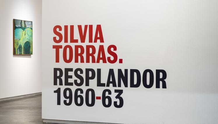 Silvia Torras. Resplandor 1960-63