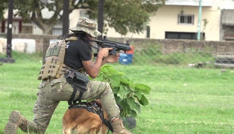 Los perros de la División K9 detectan explosivos, narcóticos y armas de fuego.