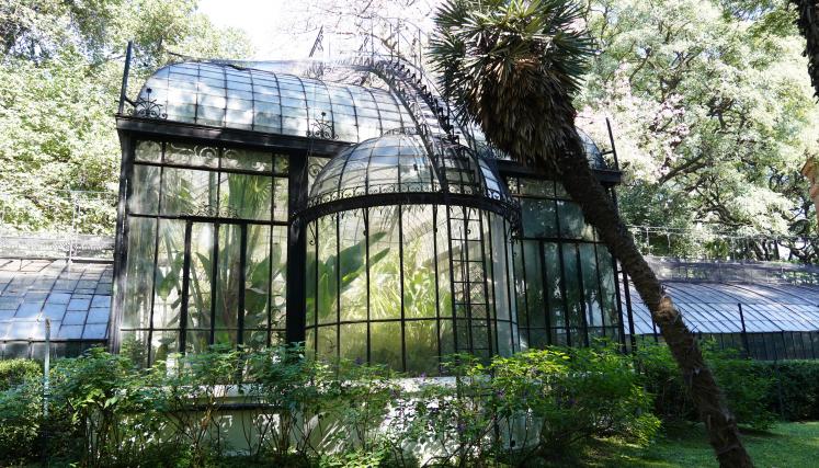 Conociendo BA celebra el aniversario del Jardín Botánico con un recorrido digital imperdible